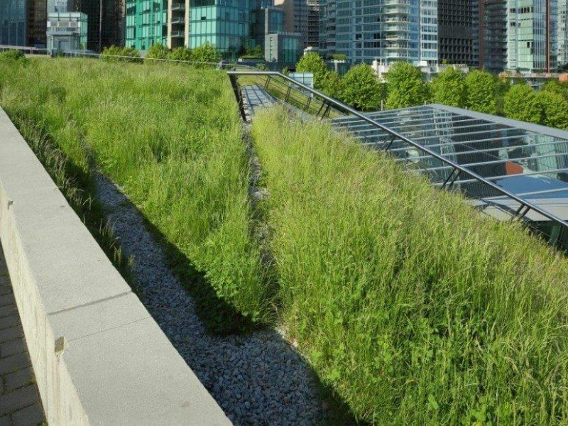 Schwammstadt – Begrüntes Dach mit Solarmodulen in der Stadt